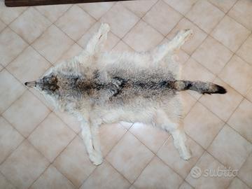 scendiletto in pelle di lupo siberiano 