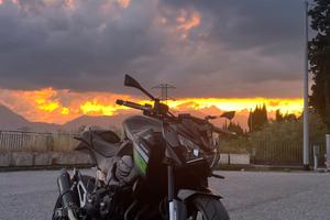 Kawasaki Z 800 - 2016