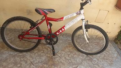 bicicletta cherri