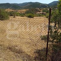 Terreno Agricolo Domus de Maria