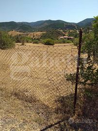 Terreno Agricolo Domus de Maria