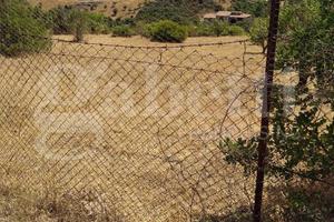 Terreno Agricolo Domus de Maria