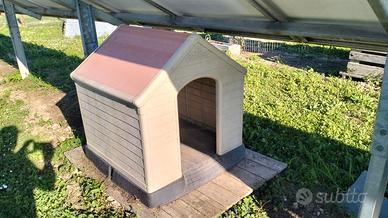 cuccia per cane