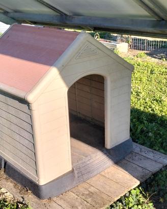 cuccia per cane
