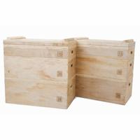 plyo box regolabili / box pliometrici NUOVI