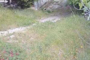 Terreno con fabbricato