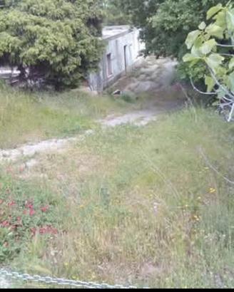 Terreno con fabbricato