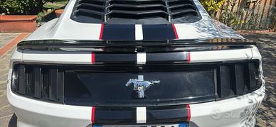 Ricambi mustang