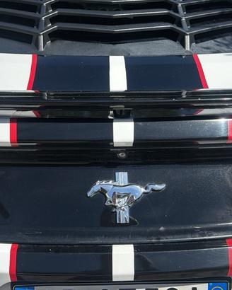 Ricambi mustang