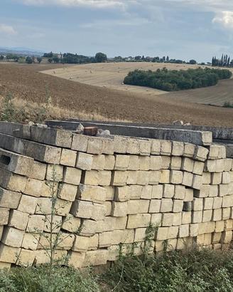 pali per recinzioni , vigneti,frutteti