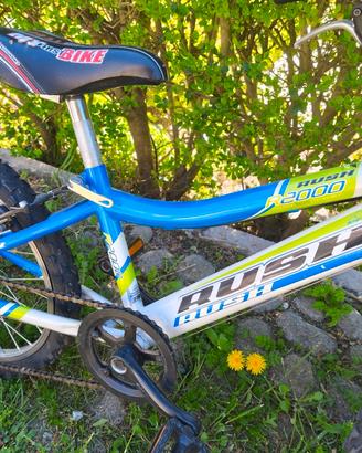 Bicicletta bambino diametro ruota 50 cm
