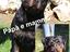 Immagine 5