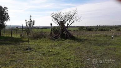 Terreno di 22600 m² a Tuscania
