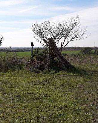 Terreno di 22600 m² a Tuscania