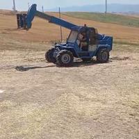 Merlo