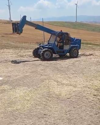 Merlo