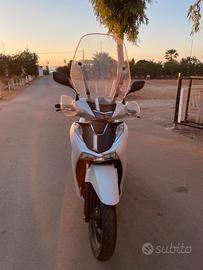 sh 2022 sport