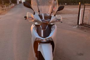 sh 2022 sport