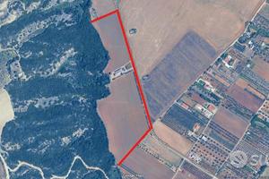 Bernalda - Azienda Agricola Con Villa e Locali