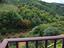 Immagine 28