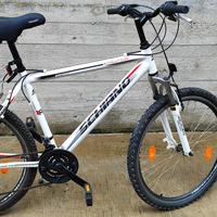Bicicletta 24 pollici 