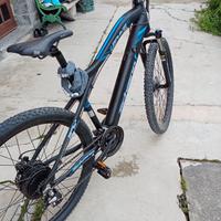 bicicletta elettrica 