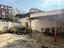 Immagine 22
