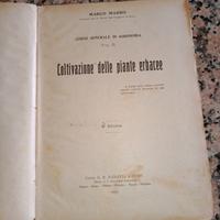 coltivazione piante erbacee 1917