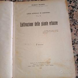 coltivazione piante erbacee 1917