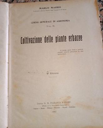 coltivazione piante erbacee 1917
