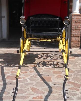 Carrozza cavalli 