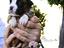 Immagine 4