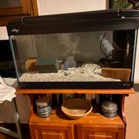 Acquario modello KORO 83