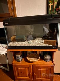 Acquario modello KORO 83