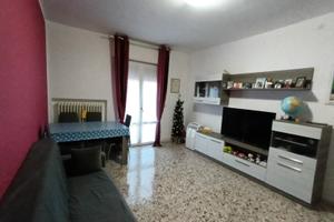Trilocale carpi