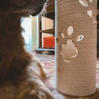 Grande Lampada Zampette animali h30