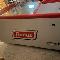 Congelatore findus