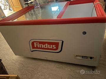 Congelatore findus