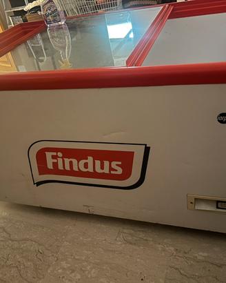 Congelatore findus