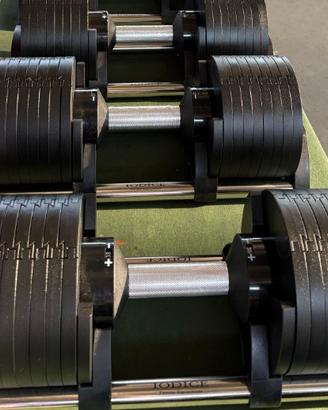 MANUBRI REGOLABILI DA 38 KG