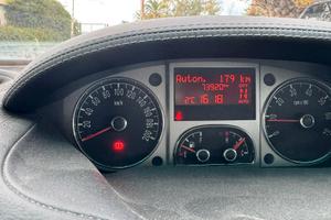 Lancia musa 
