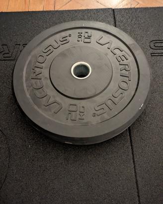 Lacertosus 2x20kg