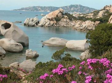 Last Minute agosto - Palau Sardegna