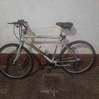 Bicicletta mountain-bike Viscontea