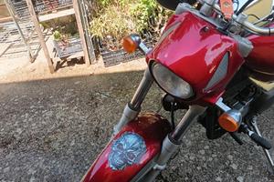 Beta euro 350
