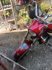 Beta euro 350