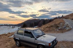 Fiat Panda 4x4 '92