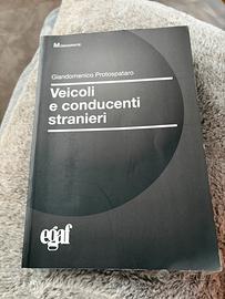 EGAF Veicoli e conducenti stranieri PROTOSPATARO