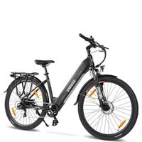 Bicicletta elettrica 