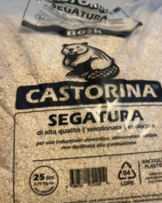 Segatura